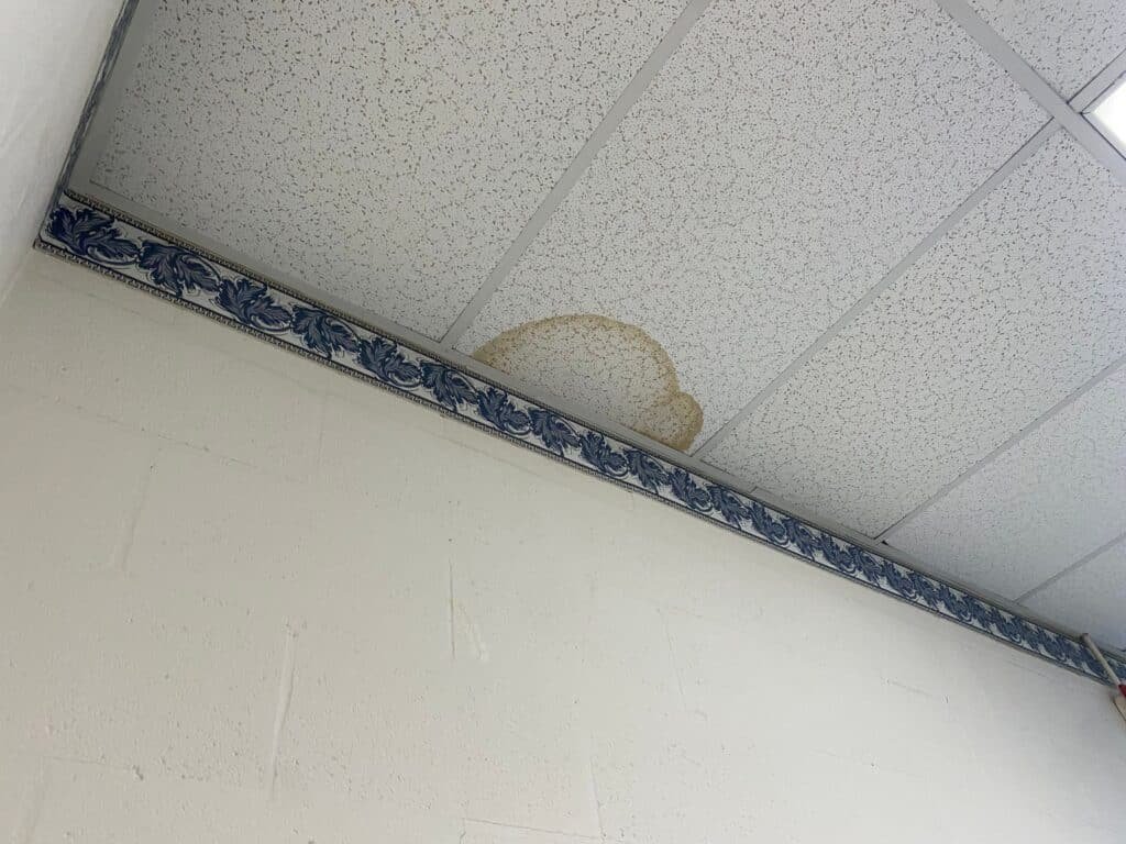 Roof leaks can cause a significant amount of damage inside of your home if they are not properly repaired.