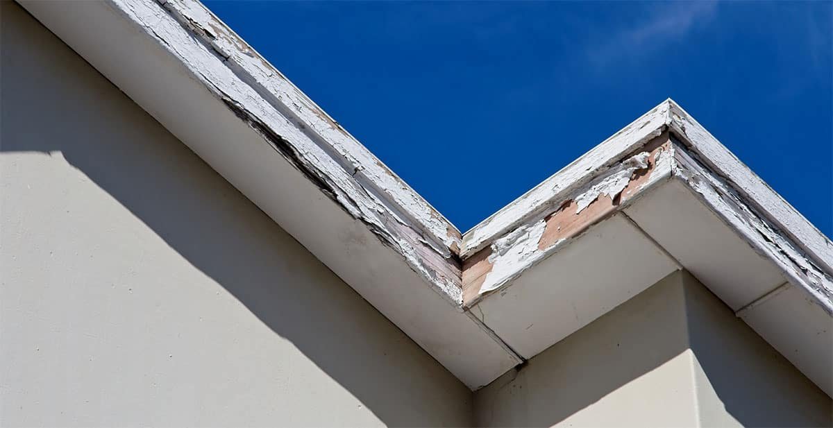 The Step-by-Step Guide for a Roof Drip Edge Repair or Replacement